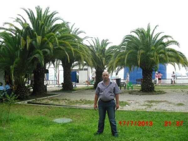 ���������� ���������, ���� ������� �������, 47 ���, ������������ ��� ����� � ���������, c�������� ���������