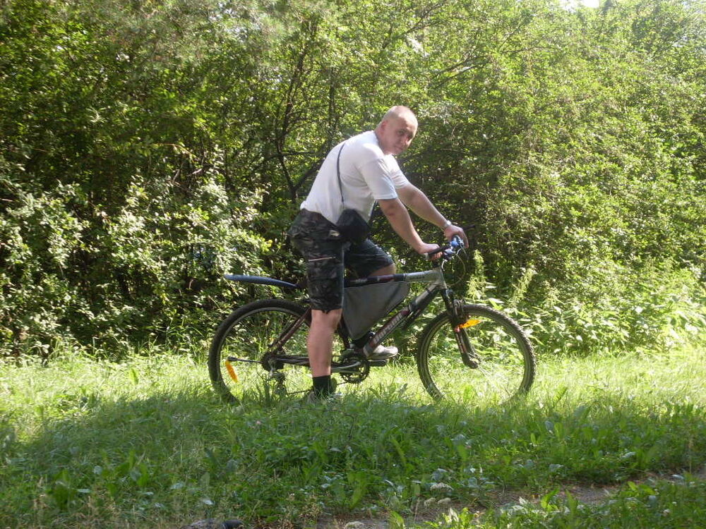  8110558  , 42 ,    -