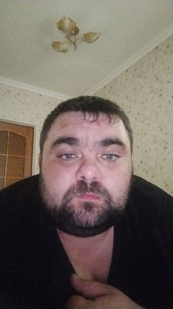  41271578   , 34 ,    