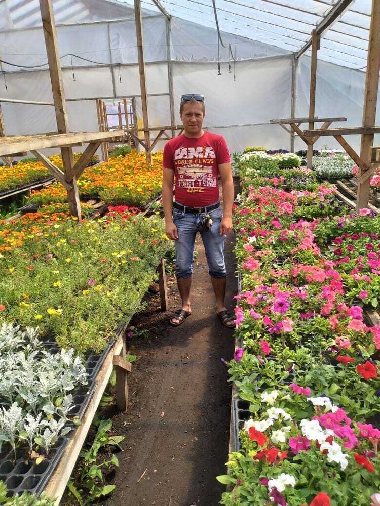 ���� 23031418 ������� �������, 33 ����, ���� ���������� � ���������