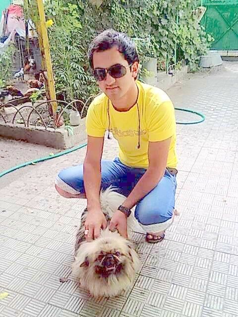  5425498  , 34 ,    -