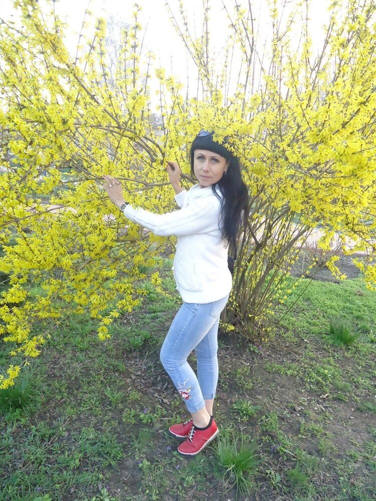  ,   , 44 ,   