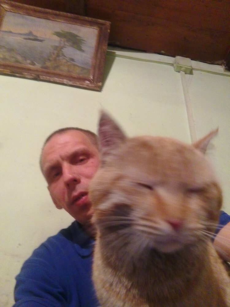 51280848  Ahgrei, 41 ,    