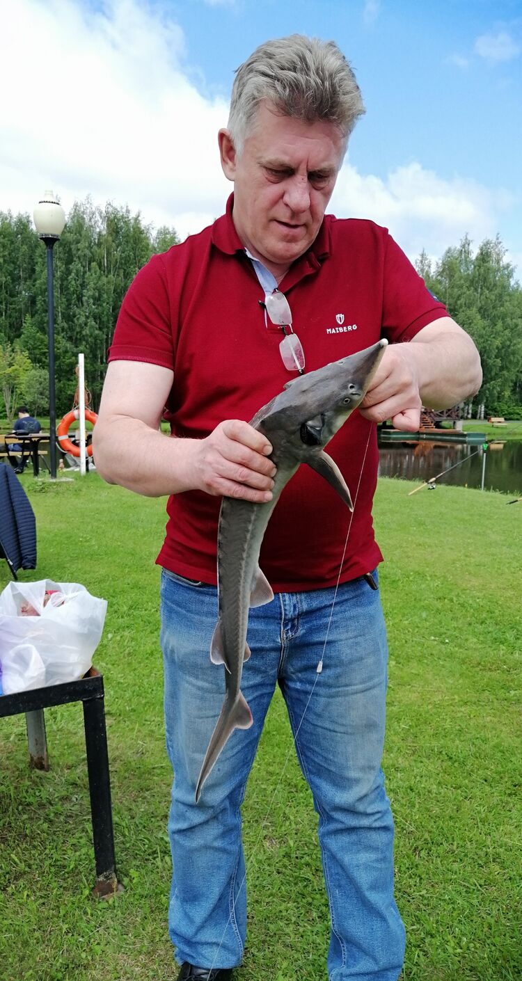 ���� 49913968 ������� �������, 64 ����, ���� ���������� � ��������