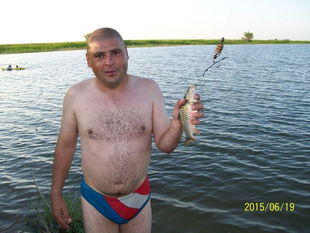  14065138  , 43 ,    