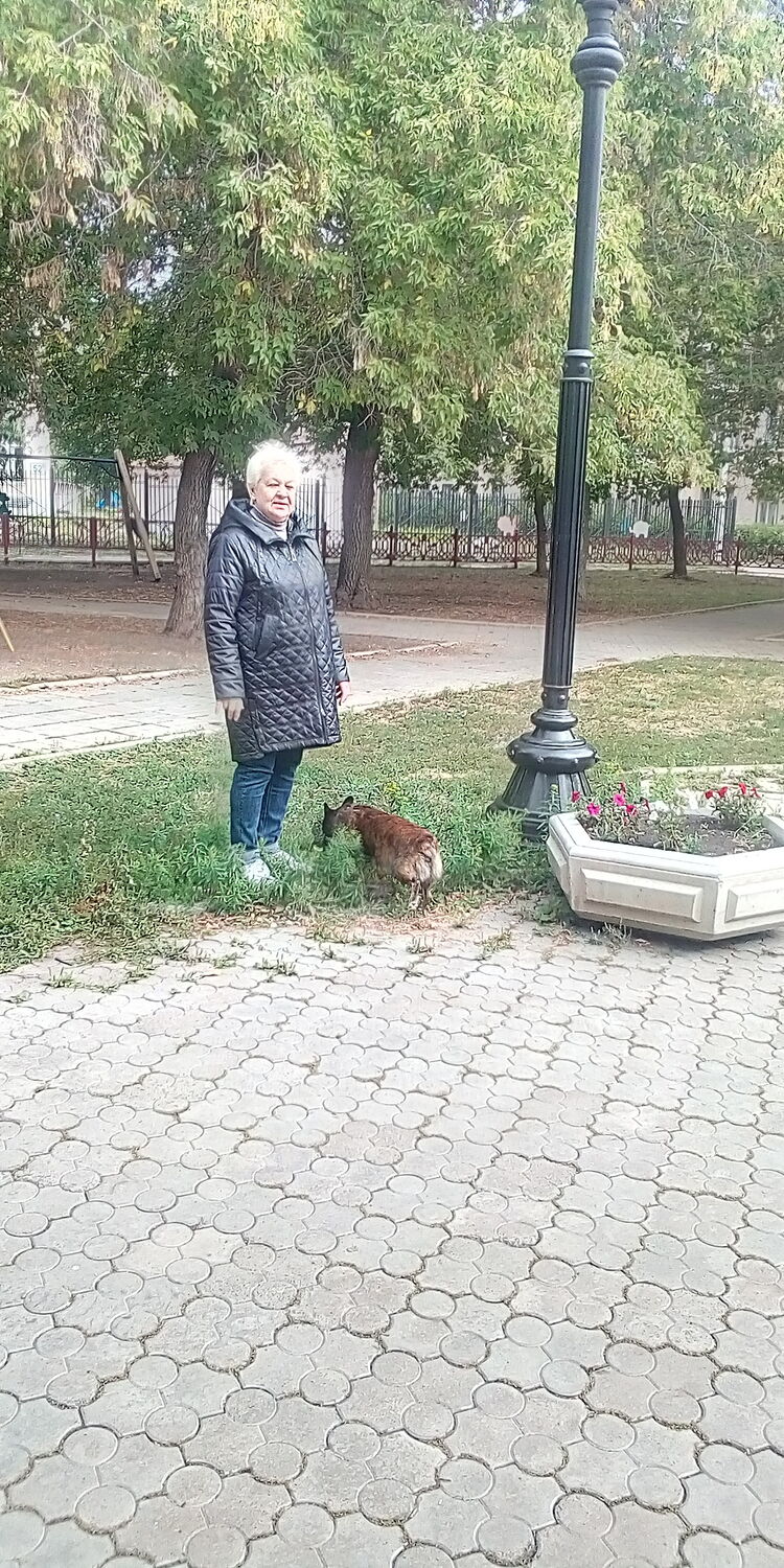  ,   , 59 ,   ,   