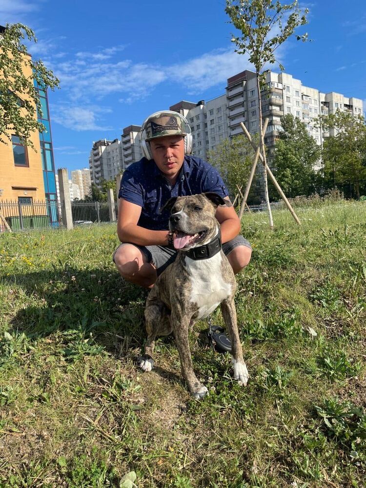 ���� 55849078 ������� ������, 39 ���, ���� ���������� � �����-����������