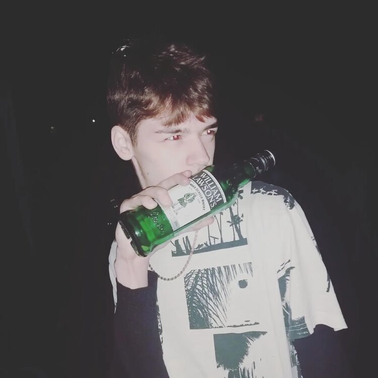  37009588  , 24 ,    