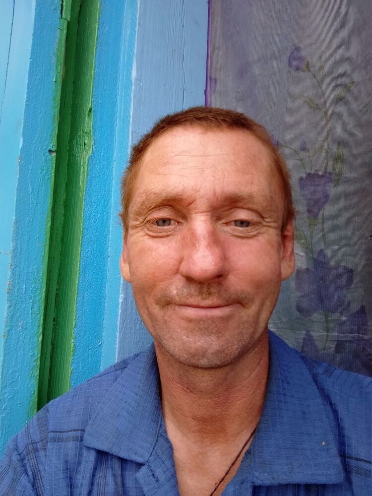  53794258  , 41 ,    -