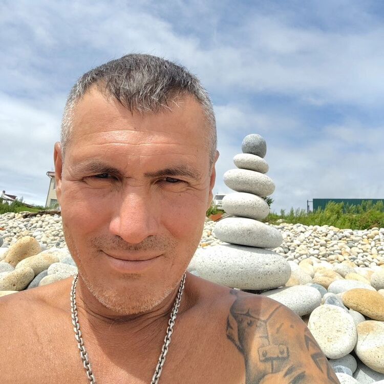  48250338  , 43 ,    