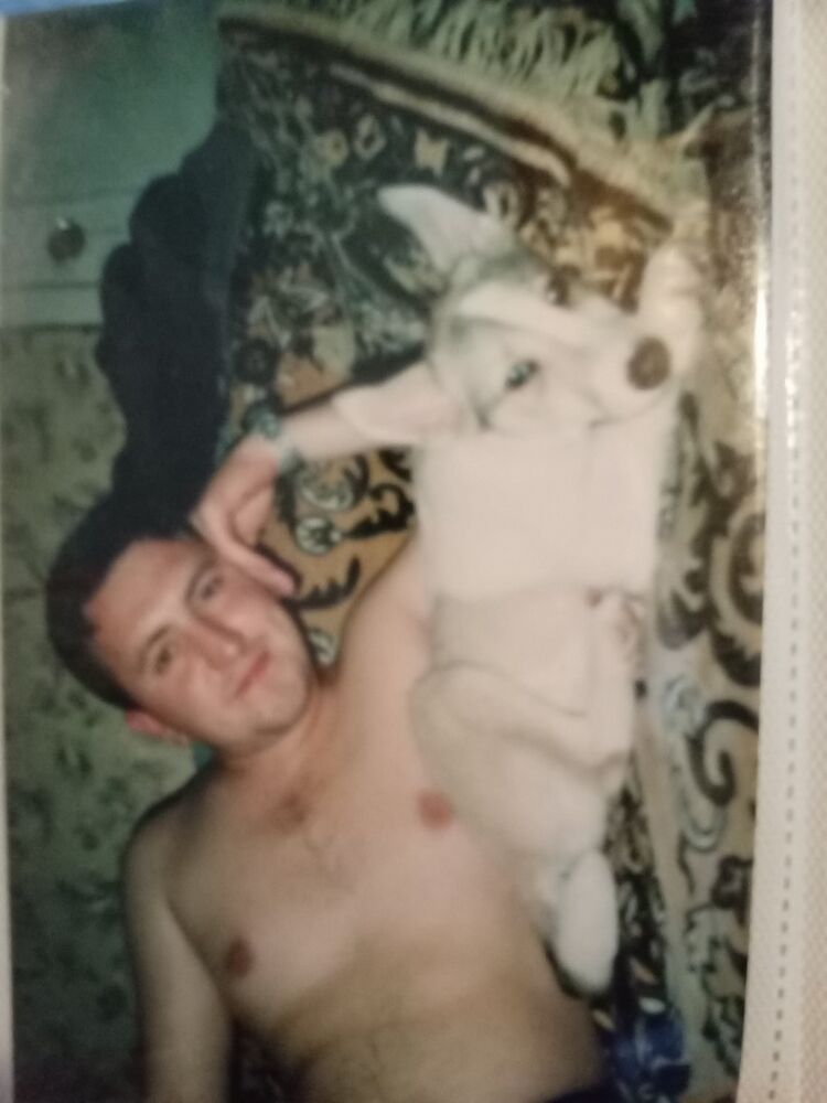  33804138  , 47 ,    -