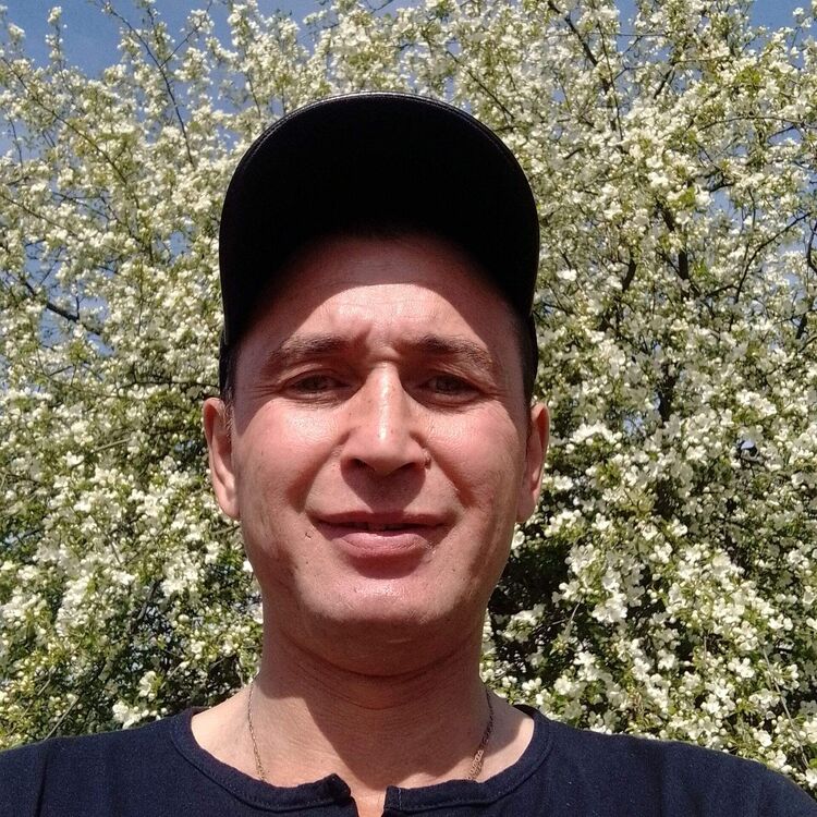  44250568  , 43 ,    