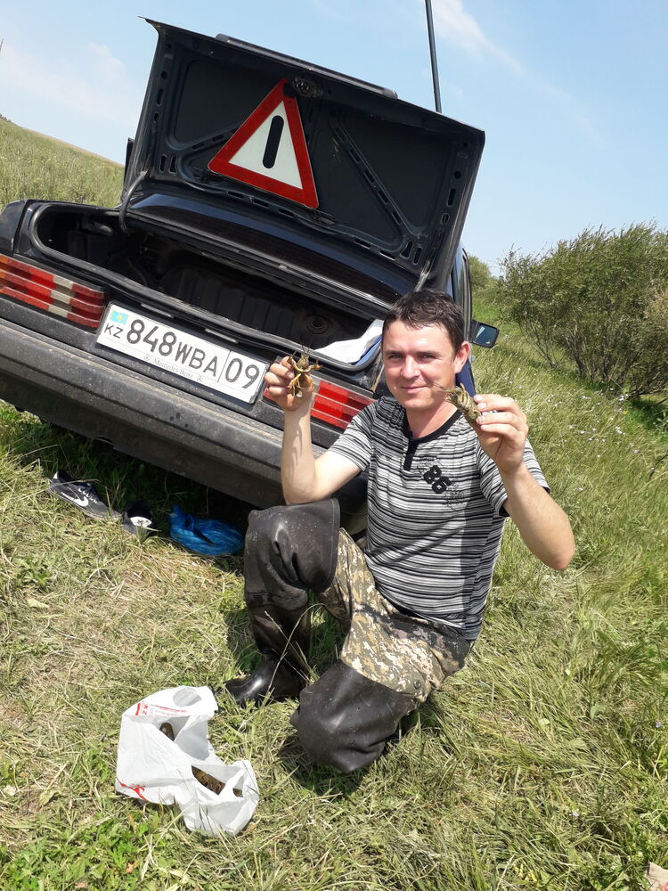  24924068  , 37 ,    