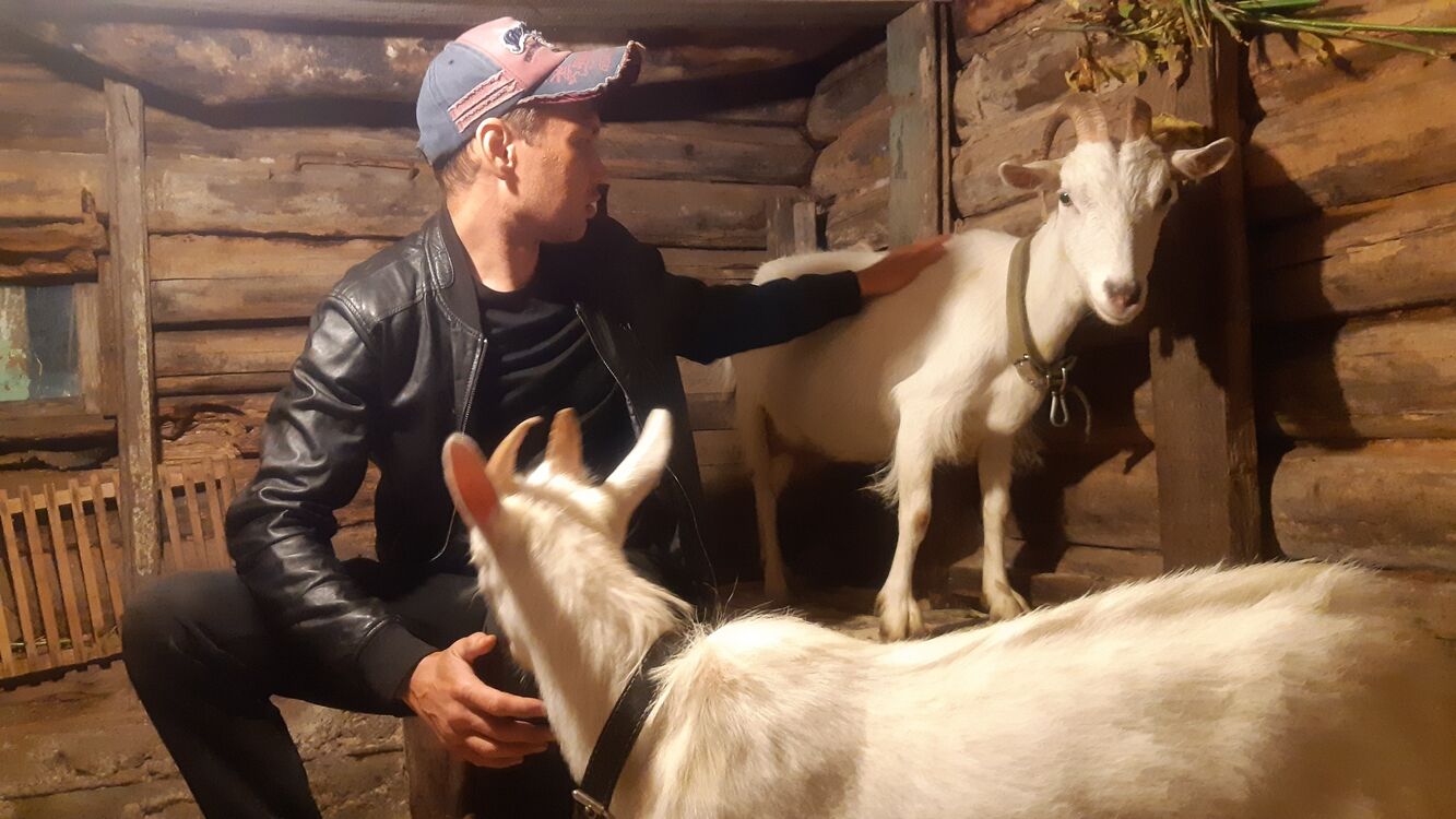 ���� 26224678 ������� ������, 42 ����, ���� ���������� � �����