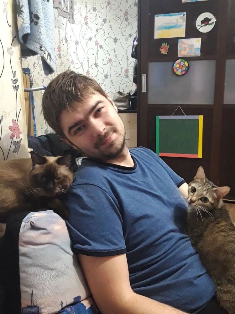 ���� 31995978 ������� ���������, 36 ���, ���� ���������� � �����