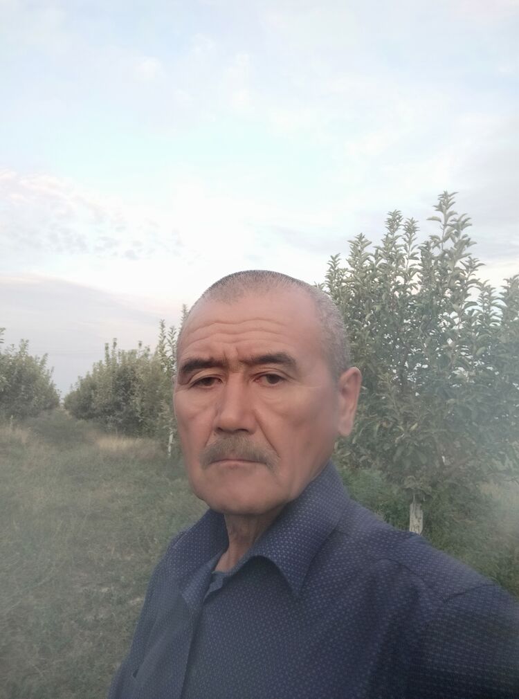  37894888  , 65 ,    