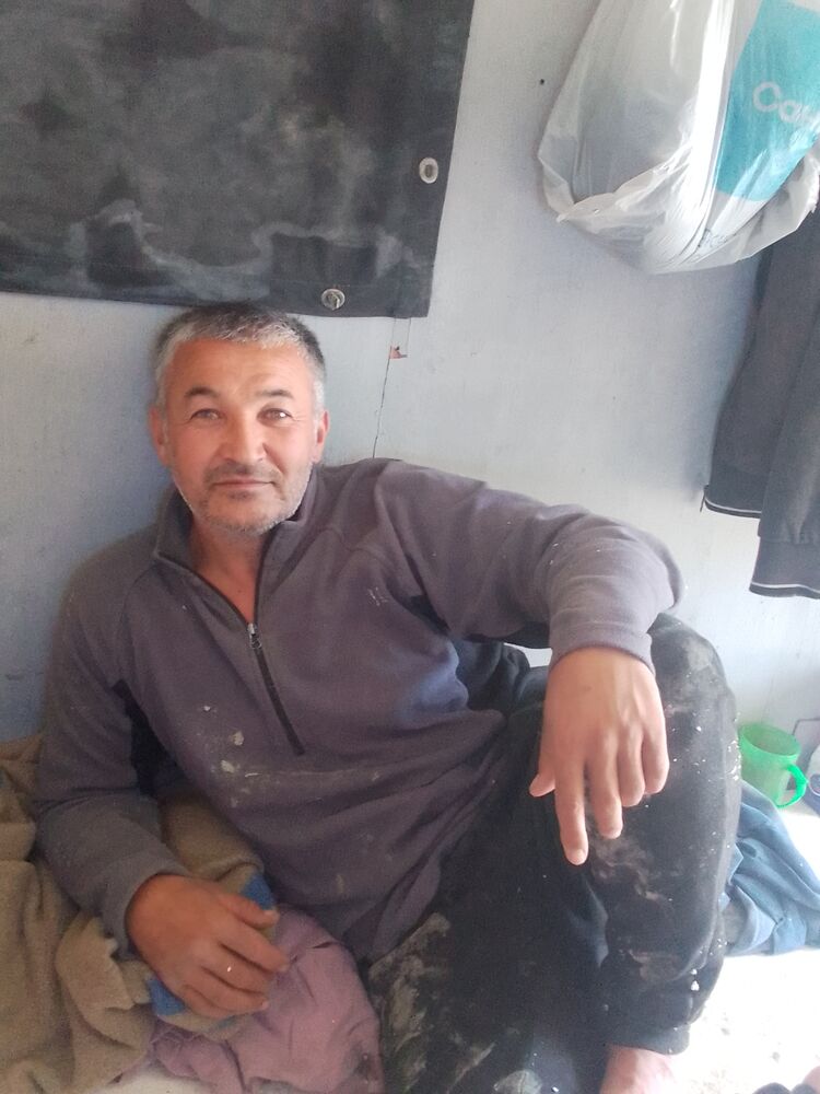 ���� 53337818 ������� ������, 42 ����, ���� ���������� � ��������