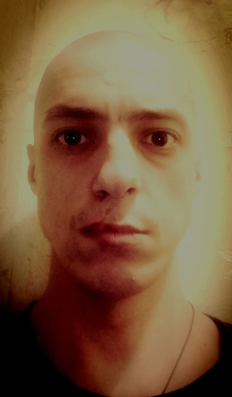  31590178  , 36 ,    