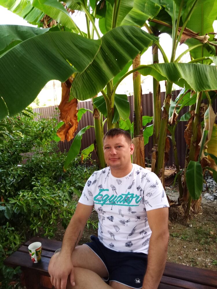  40670678  , 40 ,    