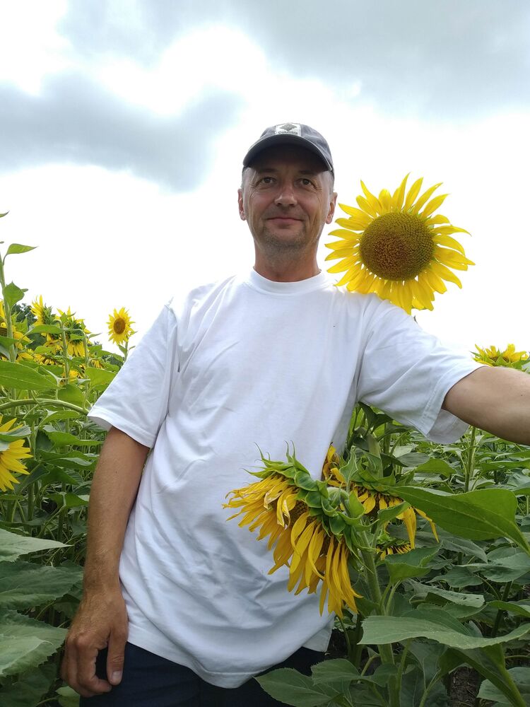  38644928  , 55 ,    -