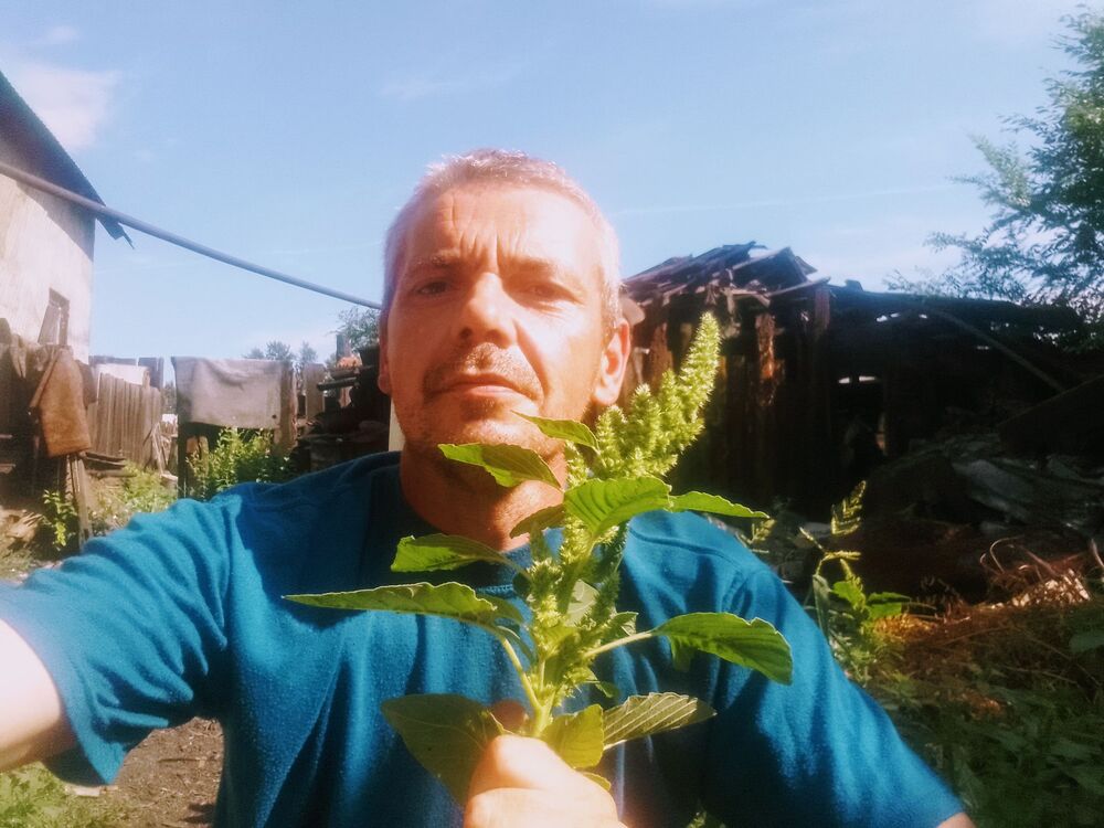 ���� 44985738 ������� ������, 45 ���, ���� ���������� � ������