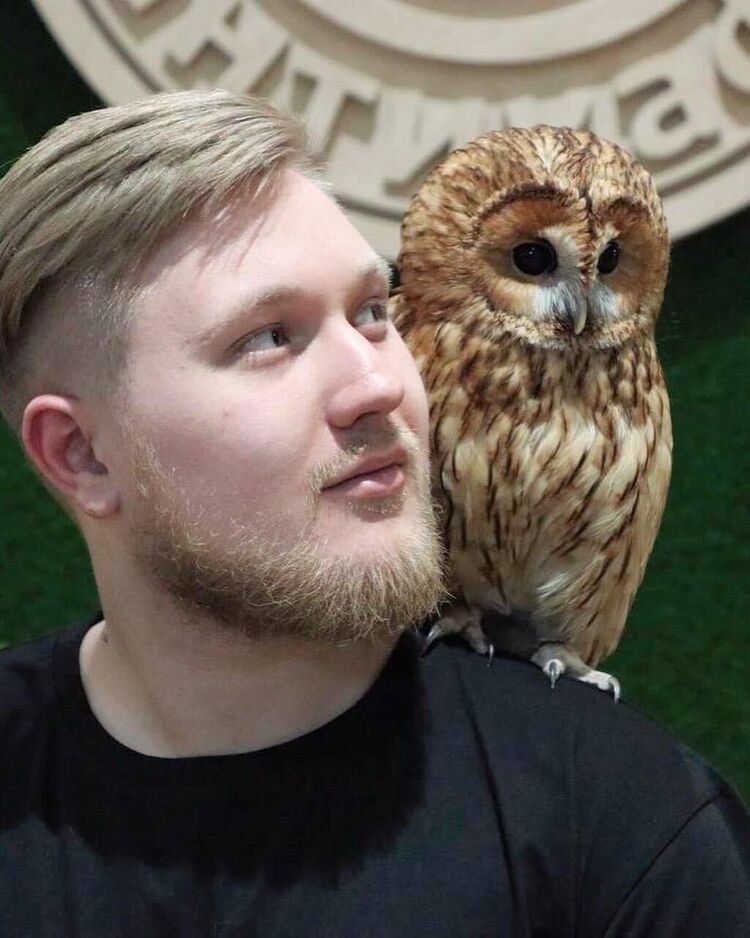 ���������� ������, ���� ����� ����, 23 ����, ������������ ��� ������, ����� � ���������