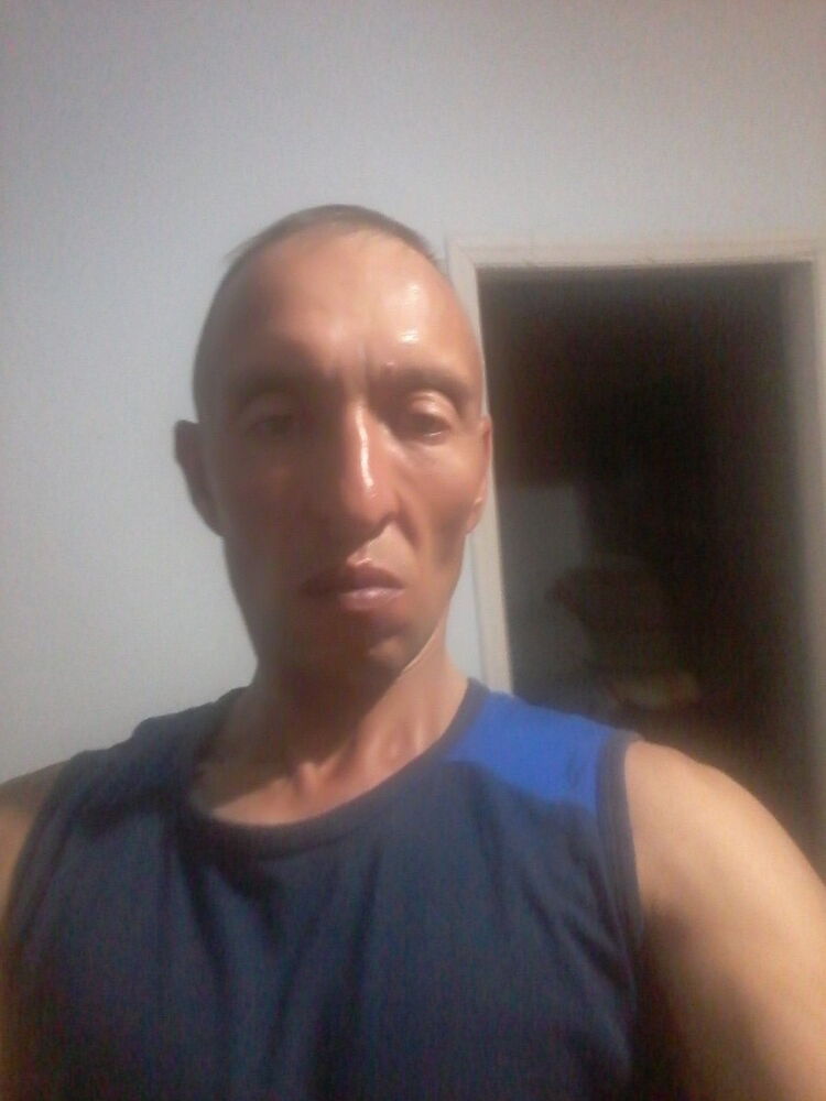  9743658  , 51 ,    