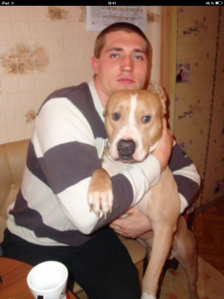 ���� 4682418 ������� ���������, 38 ���, ���� ���������� � ������