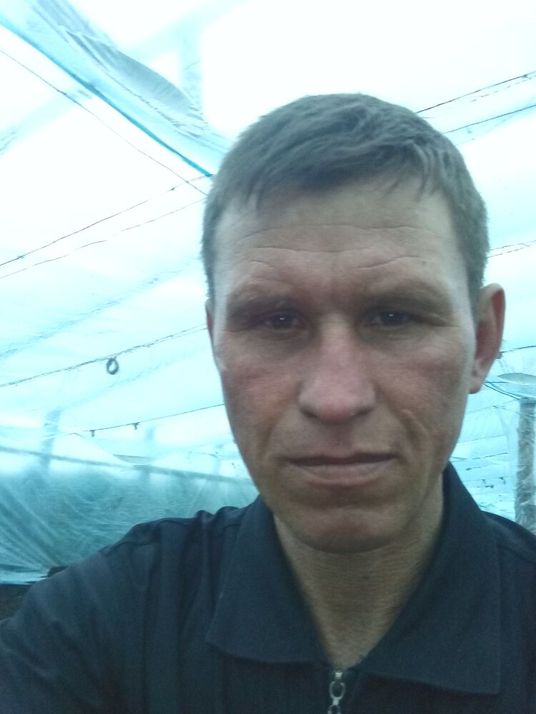 ���� 56057598 ������� ������, 38 ���, ���� ���������� � �����