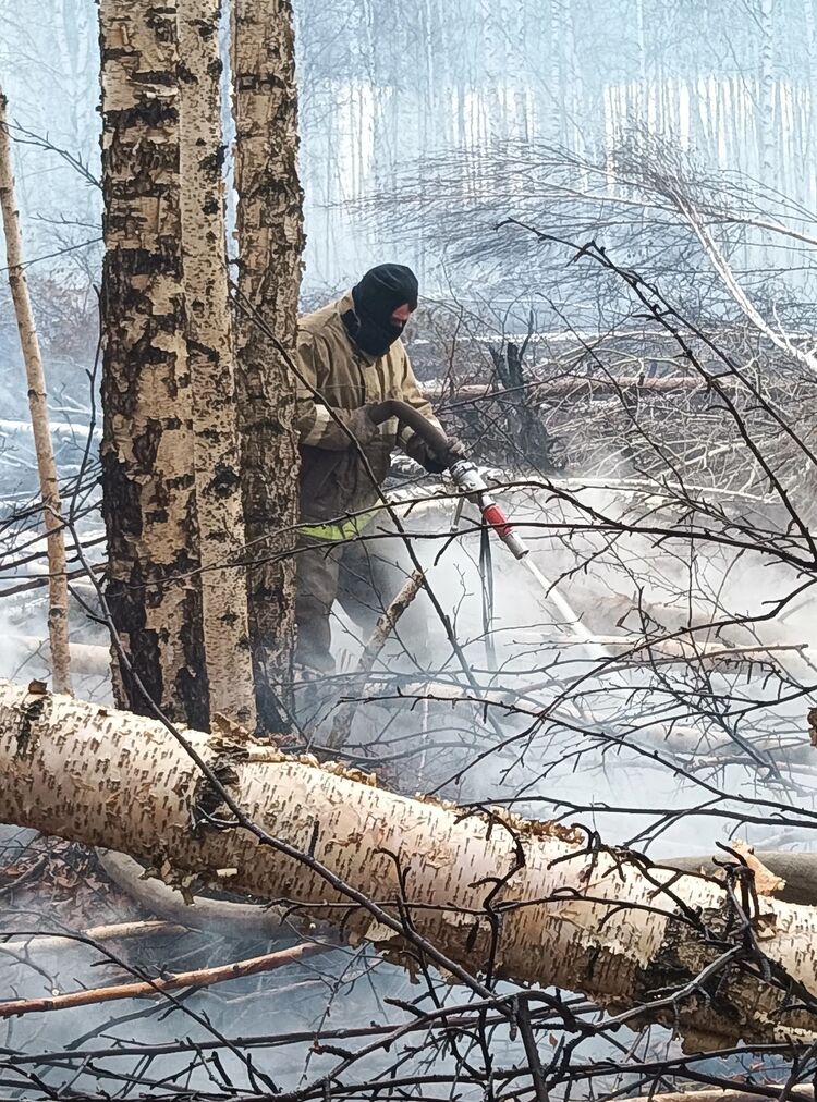 ���������� ������������, ���� ������� �������, 26 ���, ������������ 