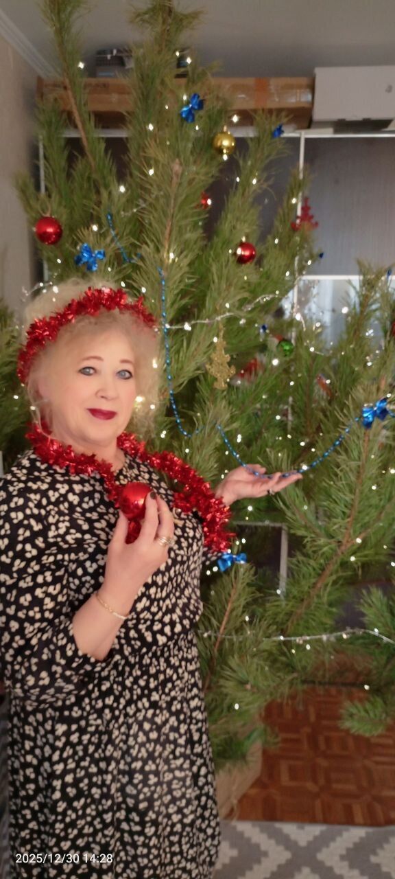 ���� 55049988 ������� �����, 66 ���, ���� ���������� � ��������