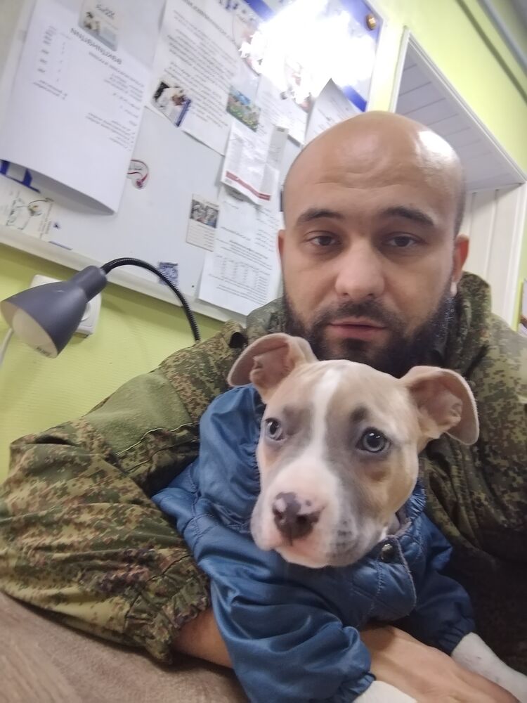 ���� 31306158 ������� ����, 30 ���, ���� ���������� � �����������