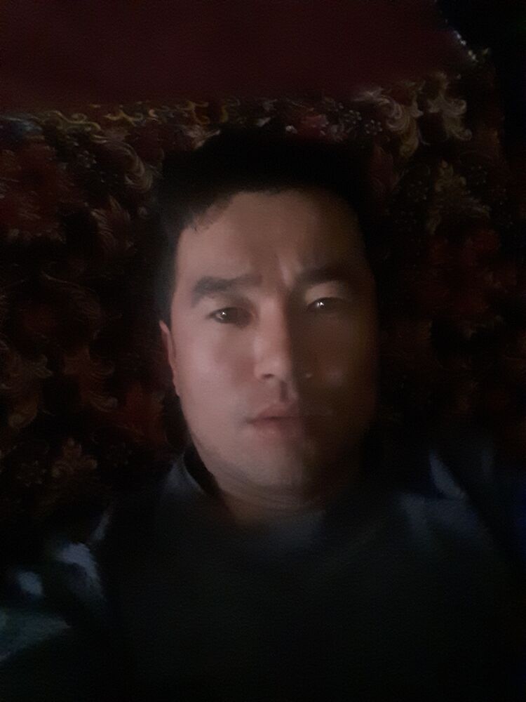  31556828  Jamshid, 33 ,    