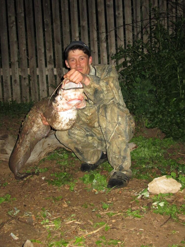 ���� 19745998 ������� �������, 46 ���, ���� ���������� � �������