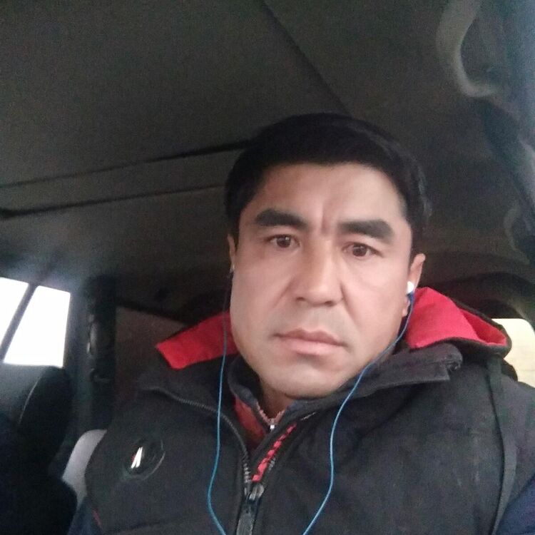  20711088  , 43 ,    
