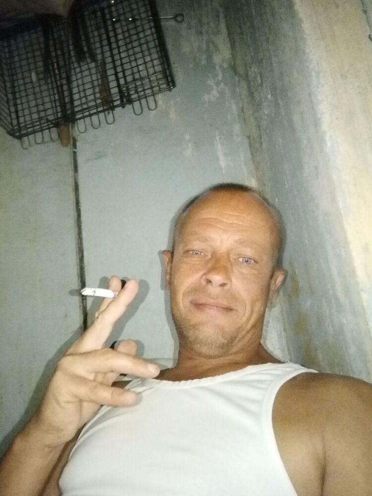  44252778  , 46 ,    