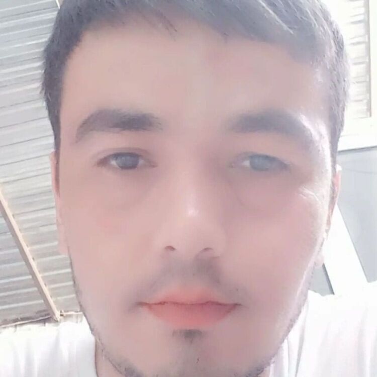  53986888  Zafar, 31 ,    