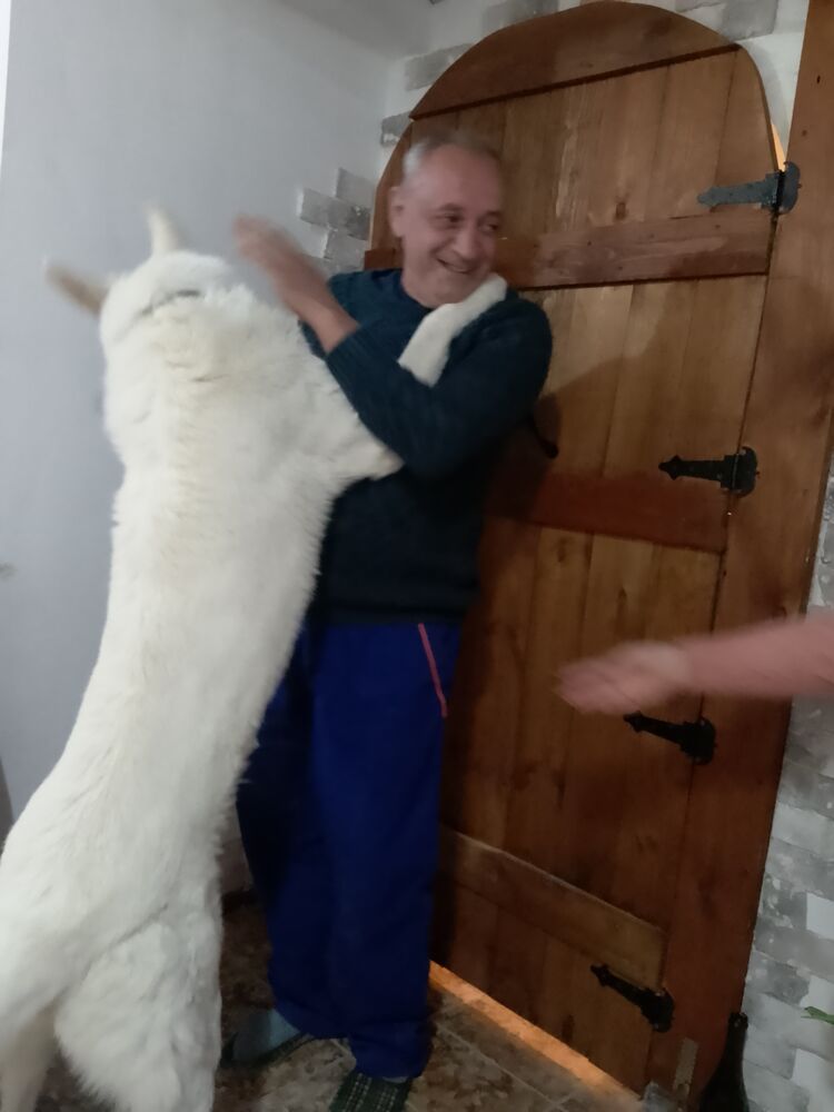  48352118  Dragan, 59 ,    