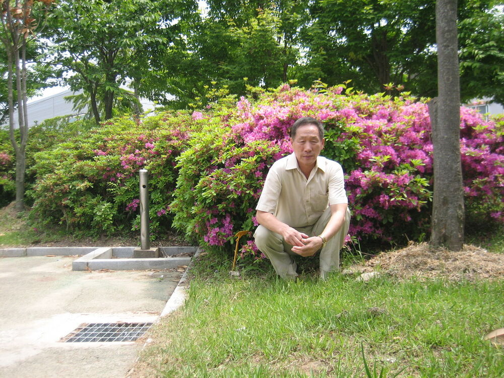  ,   , 55 ,   