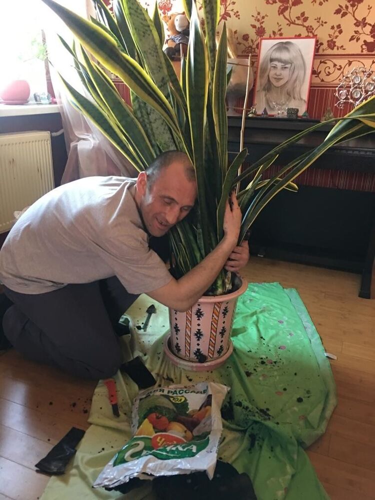 ���������� ���������, ���� ������� ������, 48 ���, ������������ ��� ������, ����� � ���������