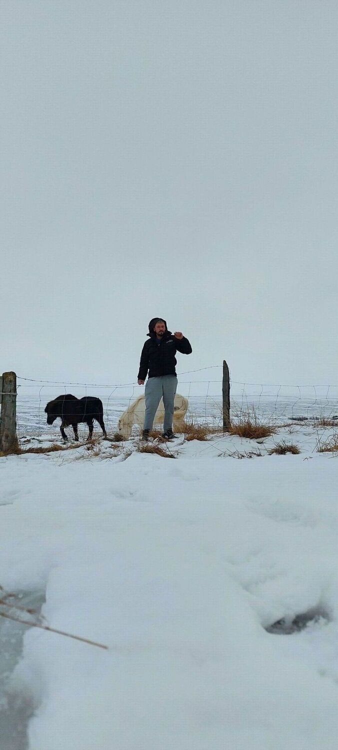  33331028  Mindaugas, 38 ,    