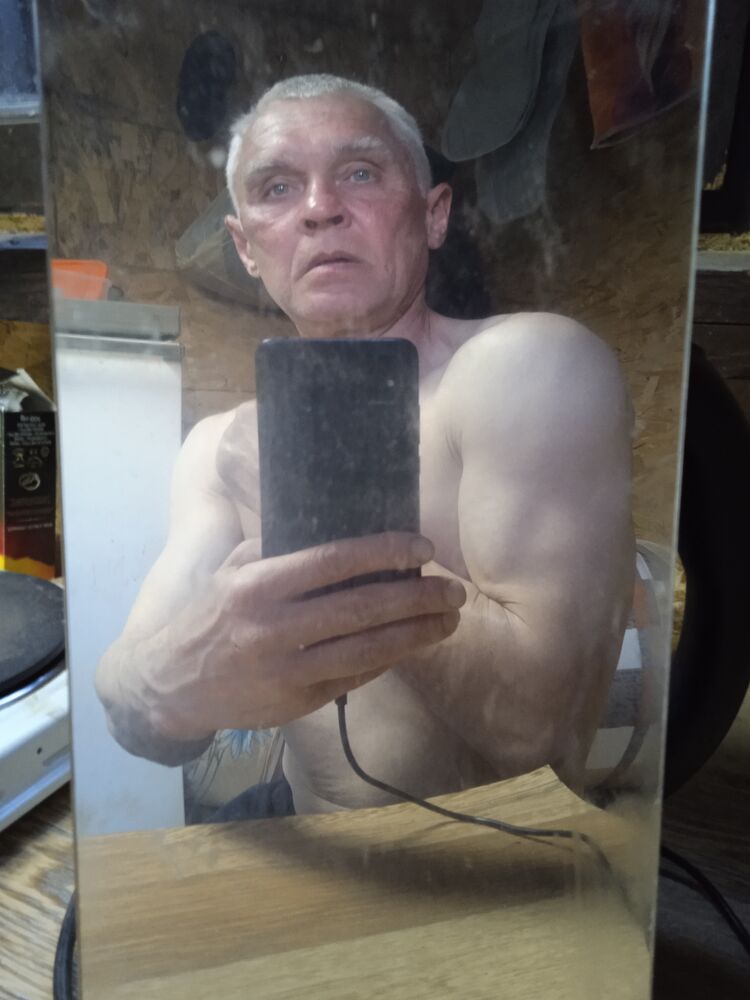  44032848  , 52 ,    