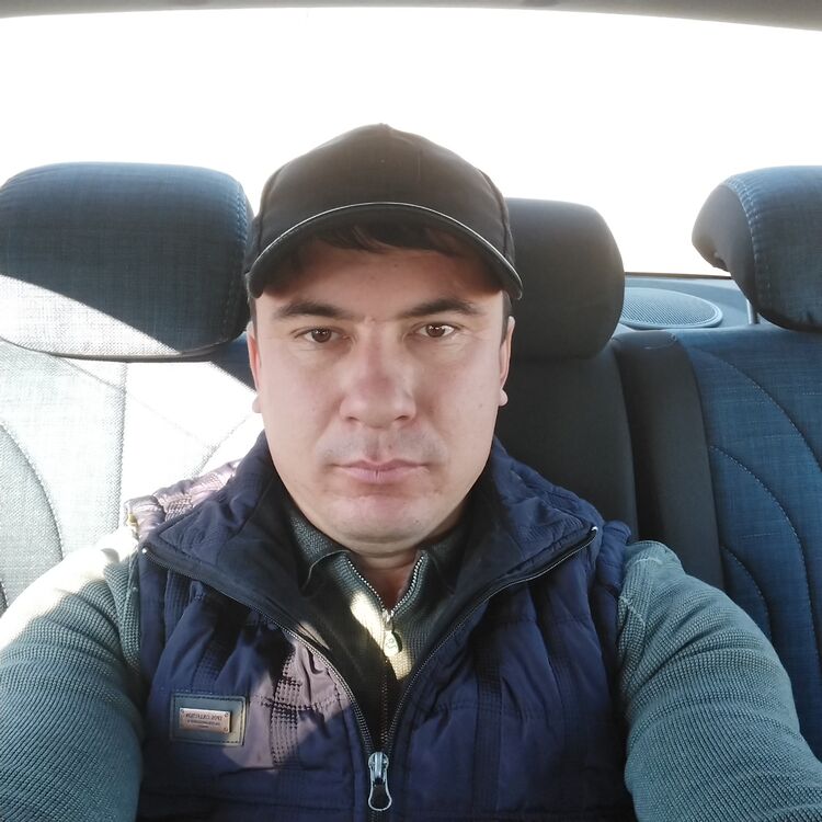  40360808  , 33 ,    