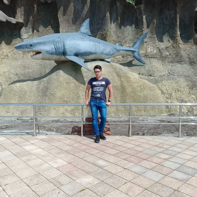  -,   , 31 ,   ,   , c 