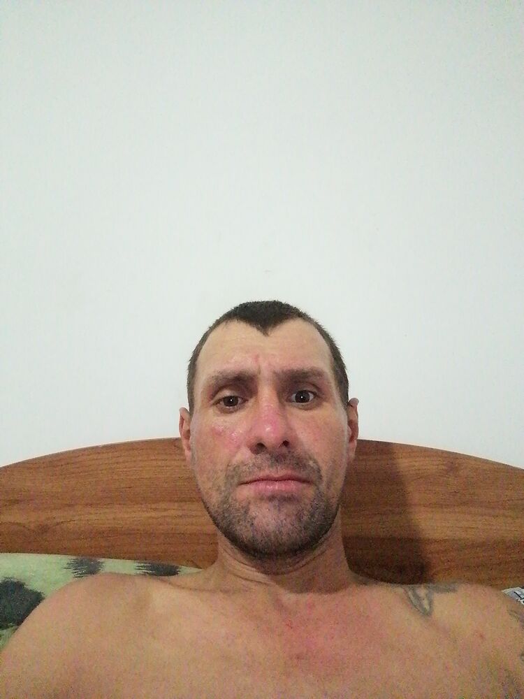 52831238  , 36 ,    