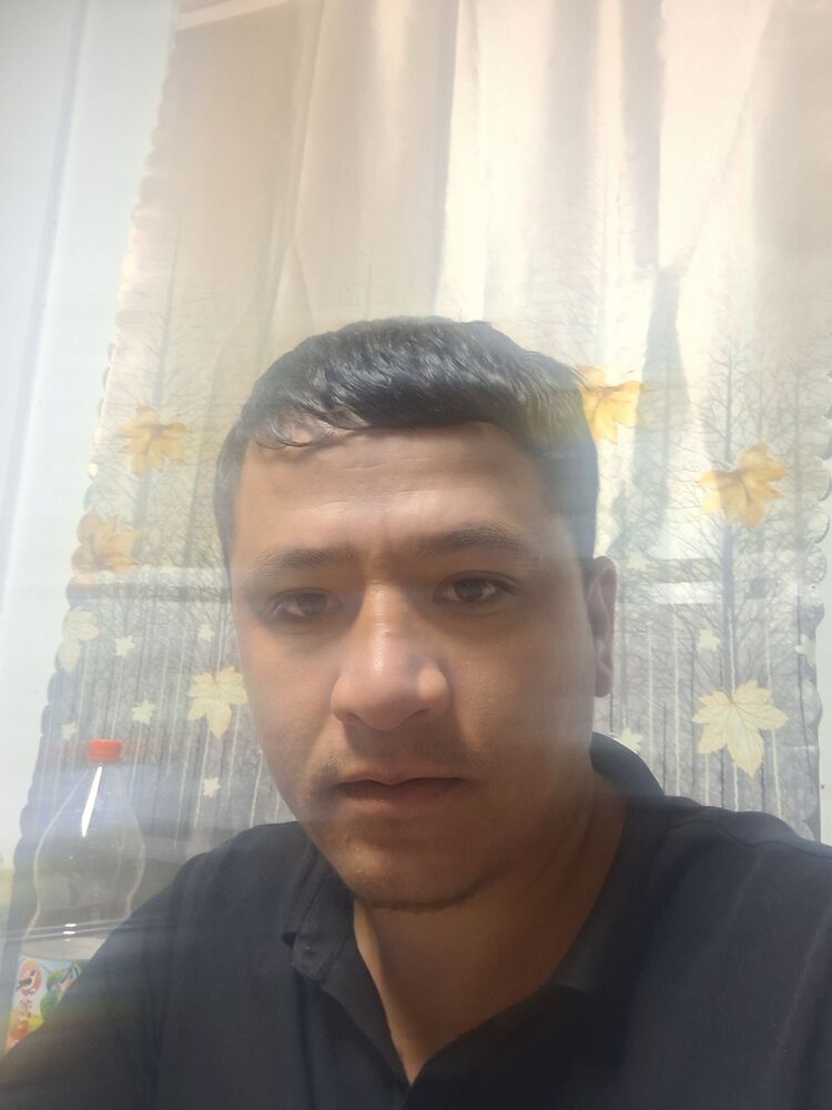  42061138  , 31 ,    