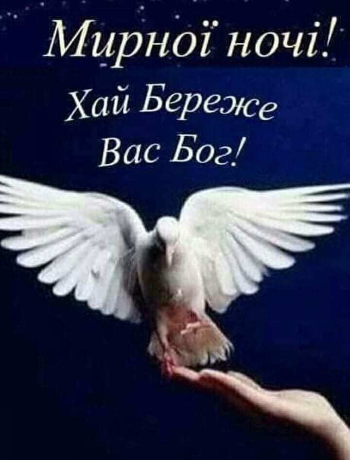  25303078  , 38 ,    
