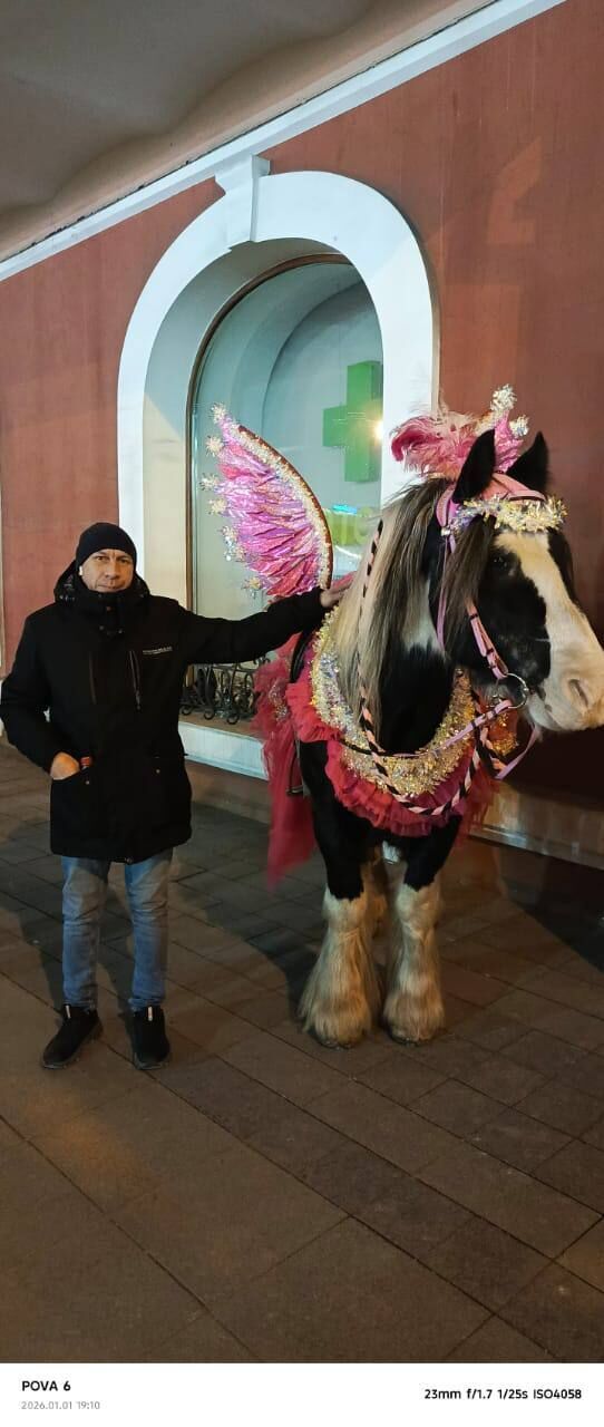 ���������� �����������, ���� ������� �������, 43 ����, ������������ ��� ������, ����� � ���������, c�������� ���������