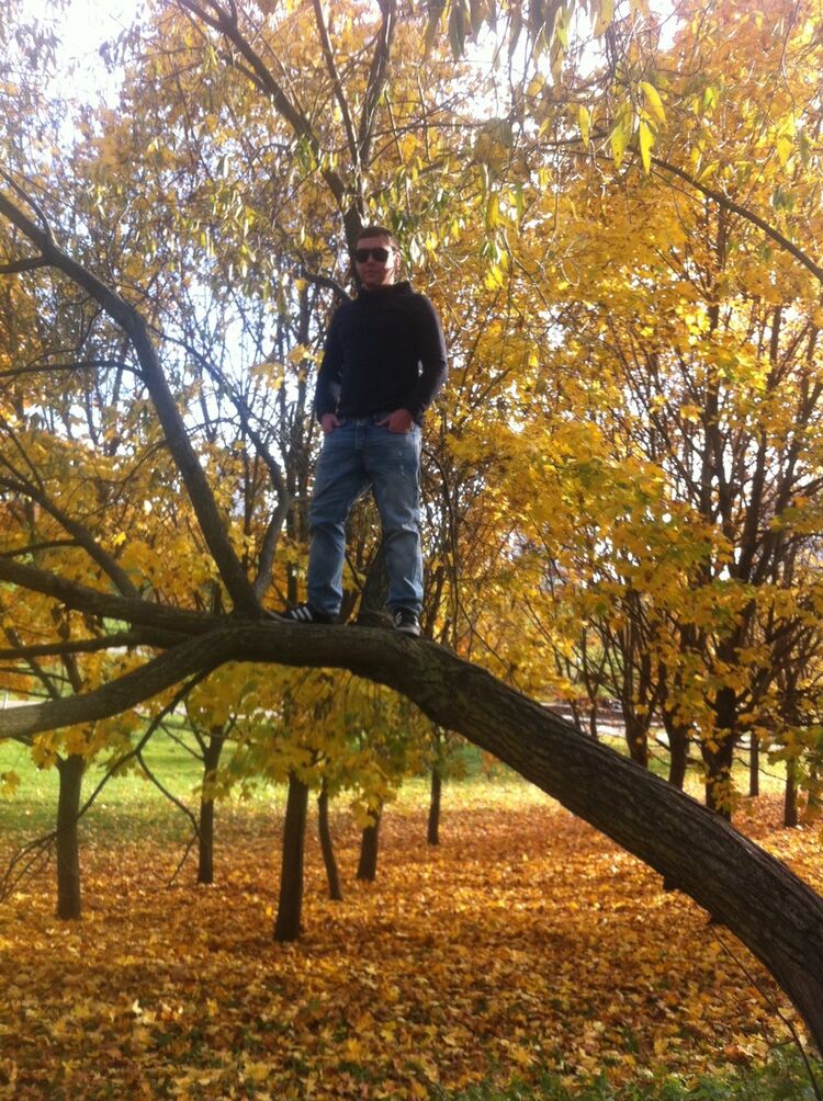 ���������� �����, ���� ������� ���������, 43 ����, ������������ ��� ������, ����� � ���������, c�������� ���������