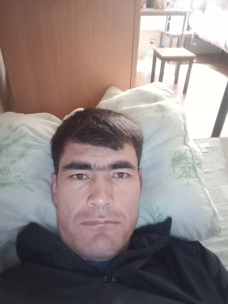  51901338  Toyly, 40 ,    